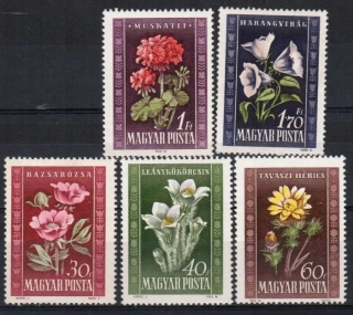 1112-1116* Flóra