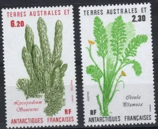 0214-215 Flora