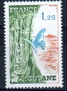 1996 Fauna