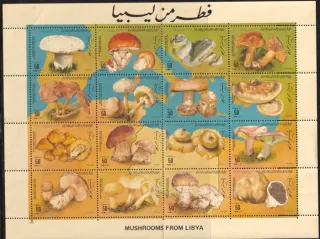 1554-1569