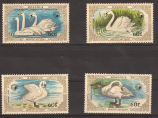 1872-1875 Fauna