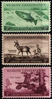 0699-0701