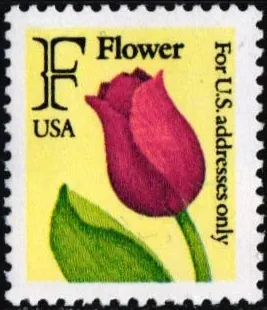 2116A  Flora