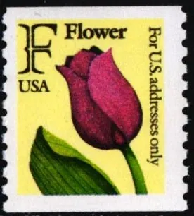 2116 C  Flora