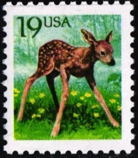 2122  Fauna
