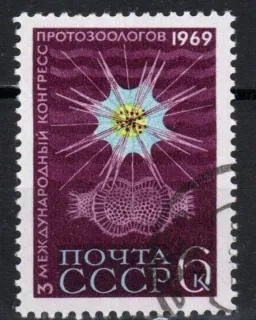 3631