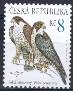 0374 ** Vtáky