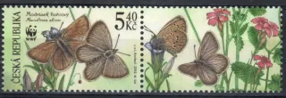 0328 KP ** Motýle