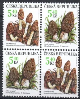 0266-0267 **