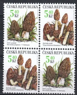 0266-0267 **
