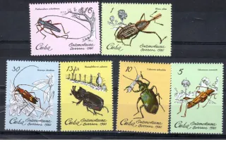 2448-2453 Fauna