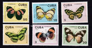 3265-3270 Fauna