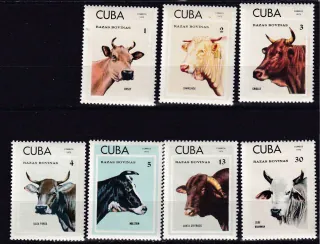 1879-1885 Fauna