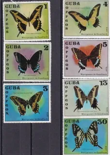 1802-1808 Fauna