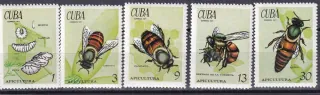 1702-1706 Fauna