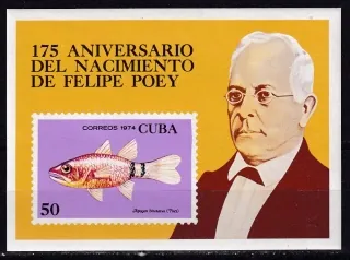 1974/BL42