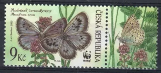 0329 KP ** Motýle