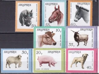 1028-1035