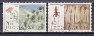 2053-2054