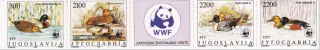 2328-2331 Fauna