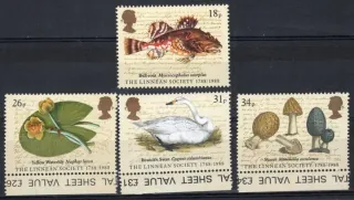 1131-1134