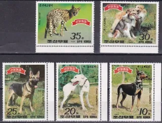 2991-2995 fauna