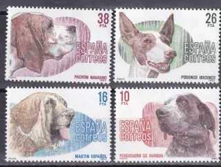 2594-2597