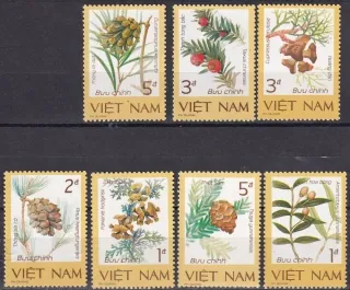 1760-1766 Flora