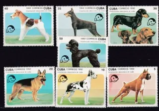 3558-3564 Fauna