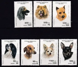 1299-1305 Fauna