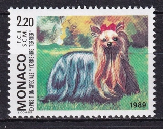 1905
