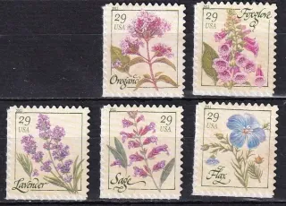 4670-4674 Flora