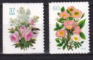 3813-3814 Flora