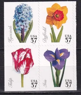3917-3920 Flora