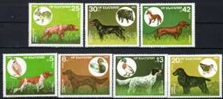 3429-3435 Fauna