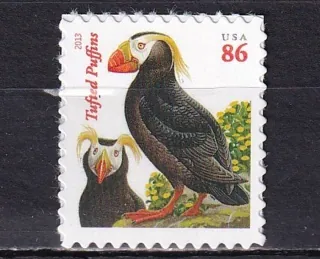4925 Fauna