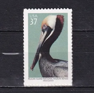 3734 Fauna