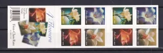 3395-3398 zz Fauna