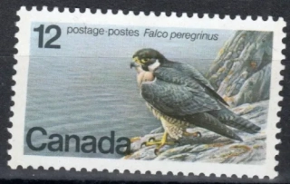 0680 Fauna