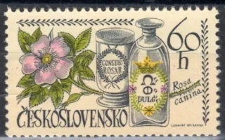 1915 DO 47/2