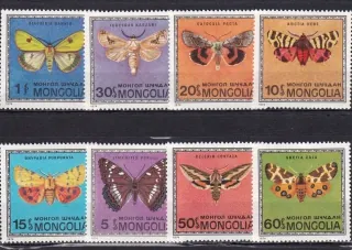 0824-0831 Fauna