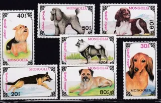 2320-2326 Fauna