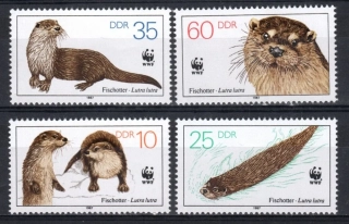 3107-3110 Fauna
