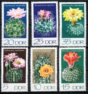 1922-1927 Flora