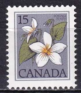 0745 Flora