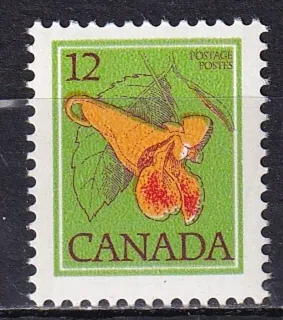 0694 Flora