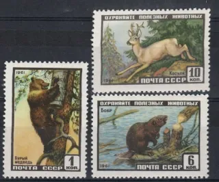 2448-2450