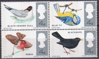 0425-0428 X Vtáky