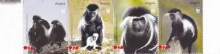 1745-1748 Fauna