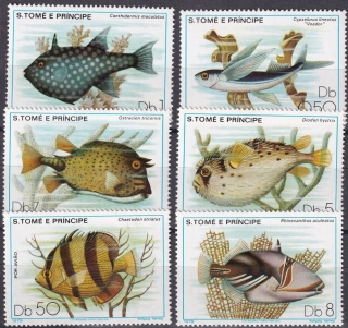 0612-0617 Fauna